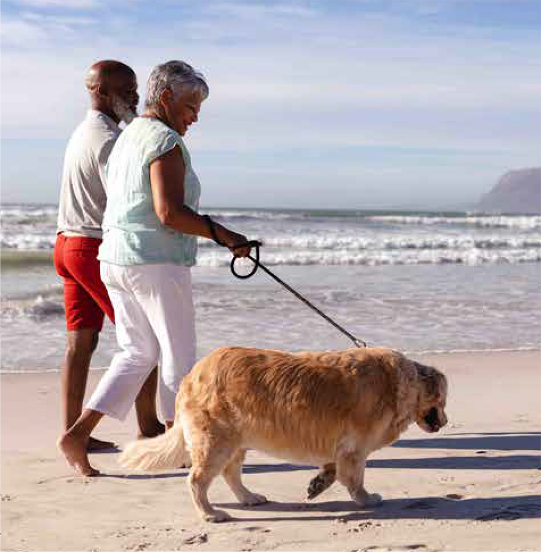Two people walking a dog.